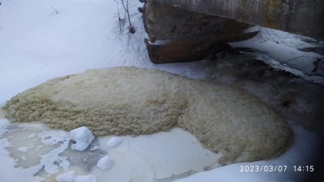 Жители Владимирской области сообщили о сливе навоза в речку