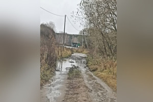 Жители Карабаново пожаловались на разбитую дорогу
