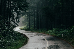 Циклон «Кассандра» доберется до трассы М-12 во Владимирской области