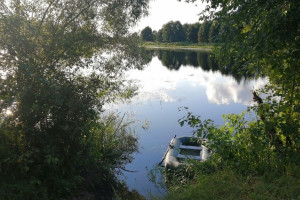 Во Владимирской области утонула 60-летняя женщина