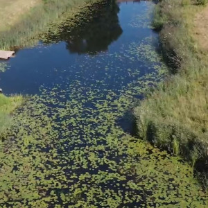 Жители Суздаля потребовали спасти Каменку и Нерль от экологической катастрофы