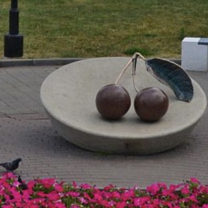 Во Владимире памятник вишне уберут со Спасского холма