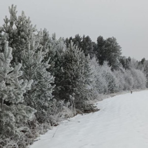 Волонтеры прекратили поиски 61-летней жительницы Мурома в красной куртке