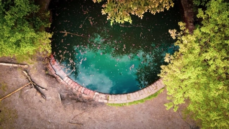 Во Владимире пруды в парке у ДТЮ станут местом притяжения туристов  