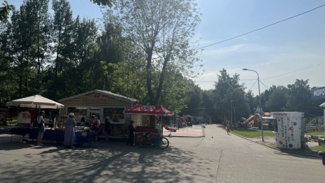 Во Владимире разработают концепцию спортивного кластера у парка «Дружба»