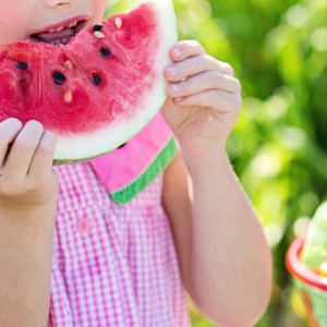 Лето во Владимирской области может стать самым жарким за 150 лет