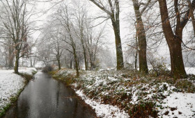 Прогноз погоды во Владимире и области на 27 апреля 2026 года