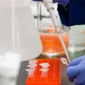 Число заболевших COVID-19 во Владимирской области выросло после выходных 