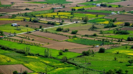 Во Владимирской области чиновники подведут газ и воду к участку многодетных  