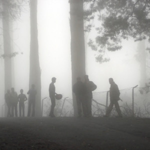 Мать двоих детей из Коврова убили и расчленили 