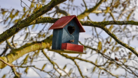 Во Владимире пройдет конкурс на лучший скворечник