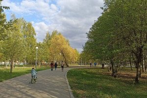 Улицу в Докучаевске переименуют в честь Владимира