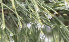 Прогноз погоды во Владимирской области на 19 декабря 2025 года