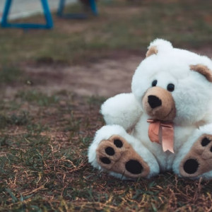 Жителя Владимирской области арестовали за надругательство над ребенком в Шуе