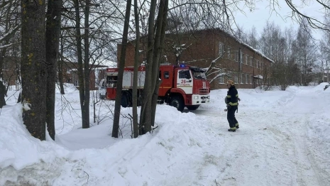 На пожаре под Суздалем эвакуировали 15 взрослых и 5 детей