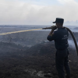Во Владимирской области обнаружили 6 новых очагов лесных пожаров