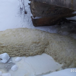 Жители Владимирской области сообщили о сливе навоза в речку
