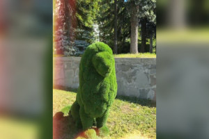 У здания мэрии во Владимире поселился зеленый лев