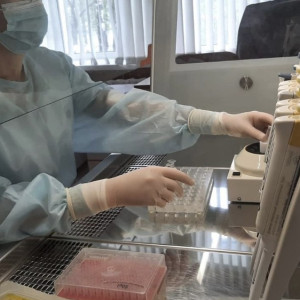 Во Владимирской области клещи укусили 111 взрослых и 23 ребенка