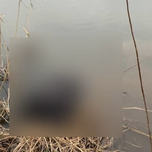 Из Колокши в Собинском районе выловили труп рыбака