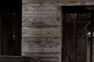 Жительница села под Юрьев-Польским обнаружила труп 48-летнего мужчины в сарае