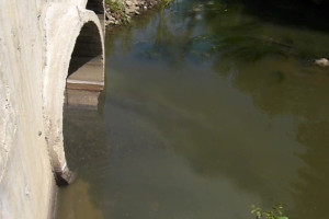 Эксперты подтвердили загрязнение Рпени стоками во Владимире