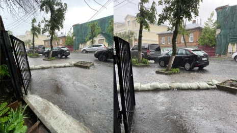 Владимирские чиновники услышали крик о помощи ЦСК «Флигель»