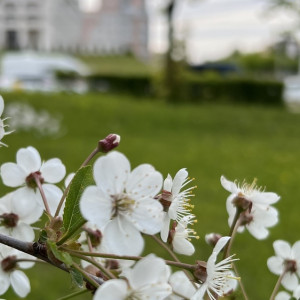 Во Владимирской области пообещали теплую неделю без осадков