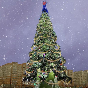 Старую новогоднюю ель с Соборной площади во Владимире перенесут в Юрьевец