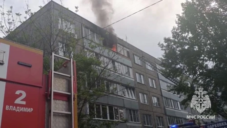 Во Владимире при пожаре эвакуировали 10 человек и котика