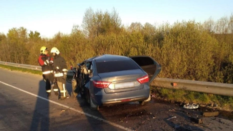 Полиция раскрыла подробности ДТП с двумя погибшими под Суздалем
