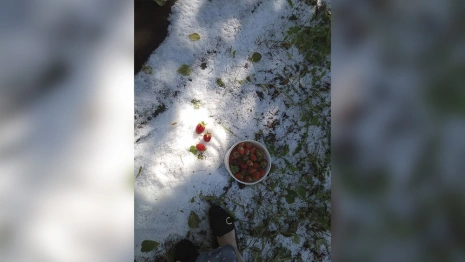 Во Владимире и за городом выпал град