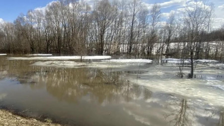 Во Владимирской области произошла первая трагедия на воде в 2026 году