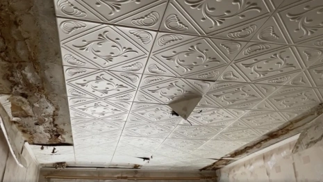 Во Владимире прокуратура начала проверку в доме с грибами на потолке