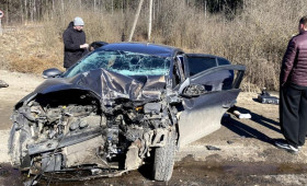 Водитель из Кольчугино угробил в ДТП собственную 85-летнюю мать