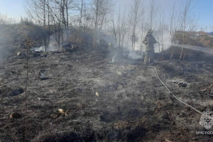 Во Владимирской области сгорели 20 га сухой травы