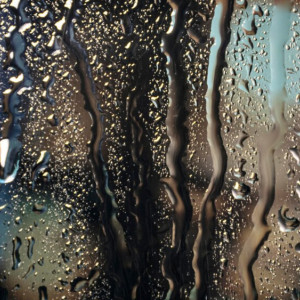 Во Владимире самыми дождливыми днями оказались 2 и 4 июня