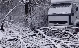 Во Владимире ураган повалил деревья и обесточил микрорайон