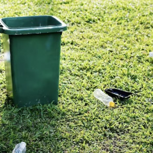 Во Владимире появятся 500 контейнеров для раздельного сбора мусора