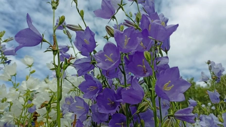 Прогноз погоды во Владимире и области на 27 августа