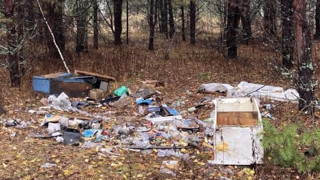В Меленках территорию у пруда Шампунька завалили мусором