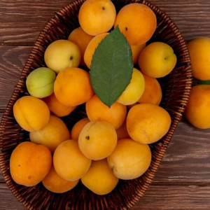 Во Владимире впервые отметят праздник абрикоса
