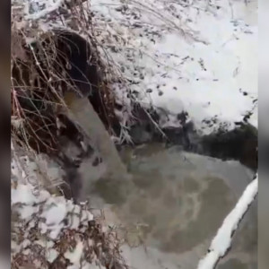 Собинские рыбаки забили тревогу из-за слива сточных вод в реку