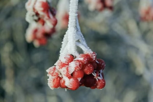 Народные приметы на 4 февраля: что можно и нельзя делать в Тимофеев день