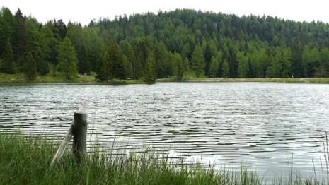 Жительницу Юрьев-Польского будут судить за гибель 9-летнего сына