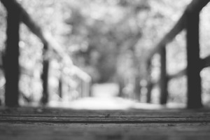 Стали известны подробности спасения пытавшейся спрыгнуть с моста девушки во Владимире