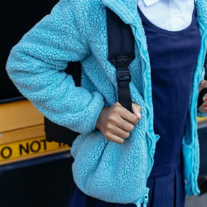 Во Владимирской области в школьных автобусах решили поставить тревожные кнопки 