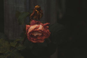 Во Владимире 16-летнего парня нашли повешенным