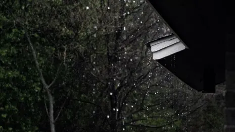 Жителей Владимирской области предупредили о шквалистом ветре