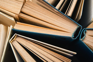 Из Владимира в новые регионы России отправят книги на русском языке
